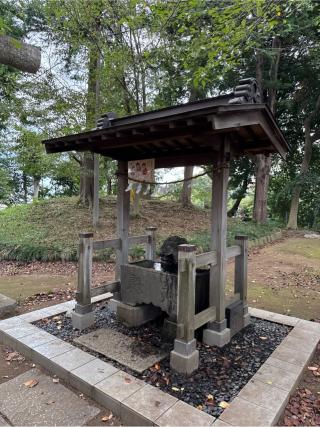 仙波氷川神社の参拝記録(⛩️🎠🐢まめ🐢🎠⛩️さん)
