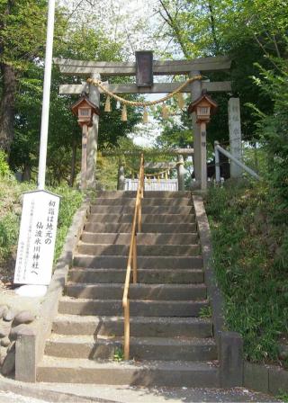 仙波氷川神社の参拝記録(タケちゃんさん)