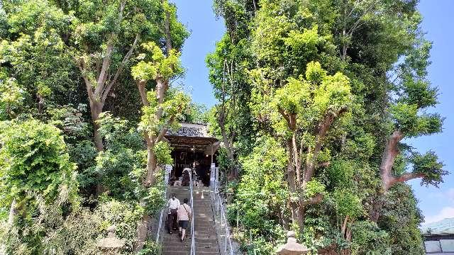 浅間神社の参拝記録2