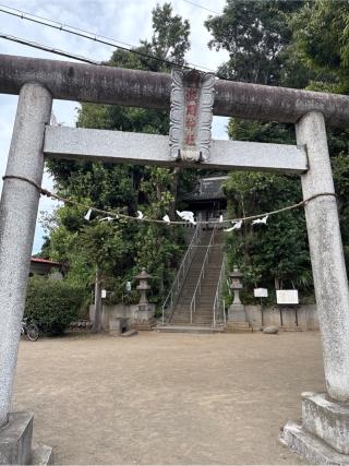 浅間神社の参拝記録(⛩️🐍🐢まめ🐢🐍⛩️さん)