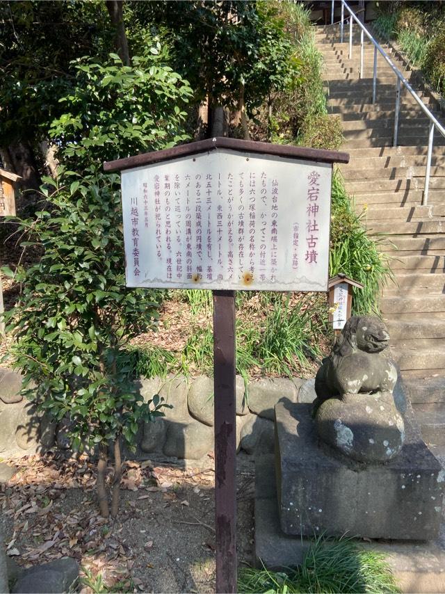 埼玉県川越市富士見町33-1 仙波愛宕神社の写真6