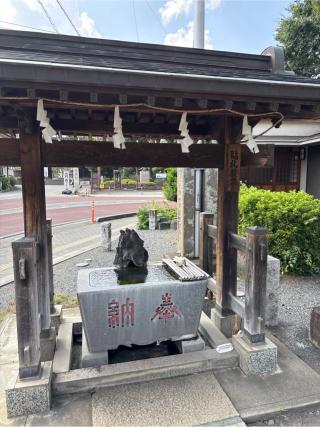 川越仙波日枝神社の参拝記録(⛩️🐍🐢まめ🐢🐍⛩️さん)
