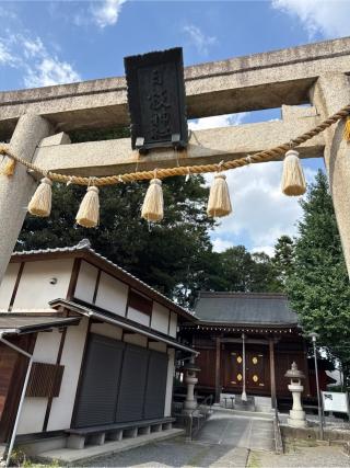 川越仙波日枝神社の参拝記録(⛩️🐍🐢まめ🐢🐍⛩️さん)