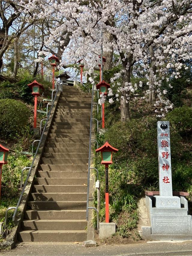 埼玉県川越市岸町2-21-7 岸町熊野神社の写真3