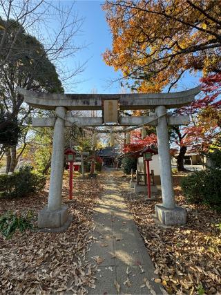 岸町熊野神社の参拝記録(こーちんさん)