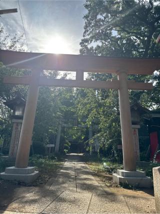 岸町熊野神社の参拝記録(⛩️🐍🐢まめ🐢🐍⛩️さん)