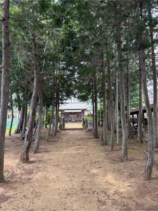 白鬚神社の参拝記録(こーちんさん)