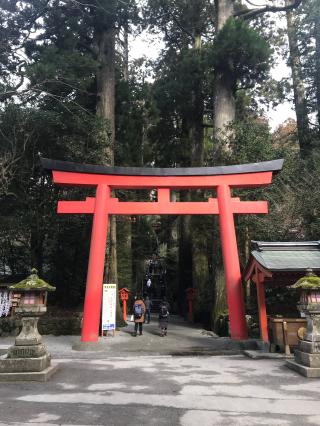 箱根神社の参拝記録(®️さん)