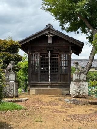 箱根神社の参拝記録(こーちんさん)