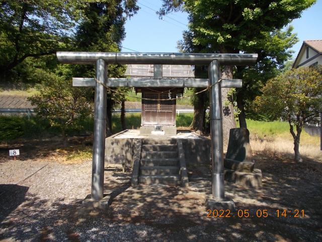 埼玉県川越市的場1163 厳島神社の写真2