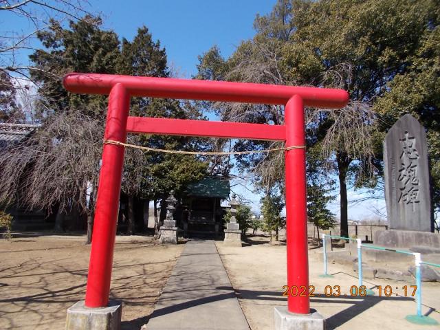 埼玉県川越市古市場2 南古谷神社の写真2