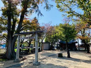 並木氷川神社の参拝記録(shikigami_hさん)