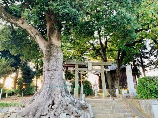砂氷川神社の参拝記録(shikigami_hさん)