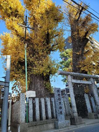 出世稲荷神社の参拝記録(マーくんさん)
