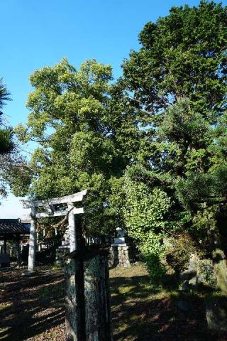 諏訪神社の参拝記録(thonglor17さん)