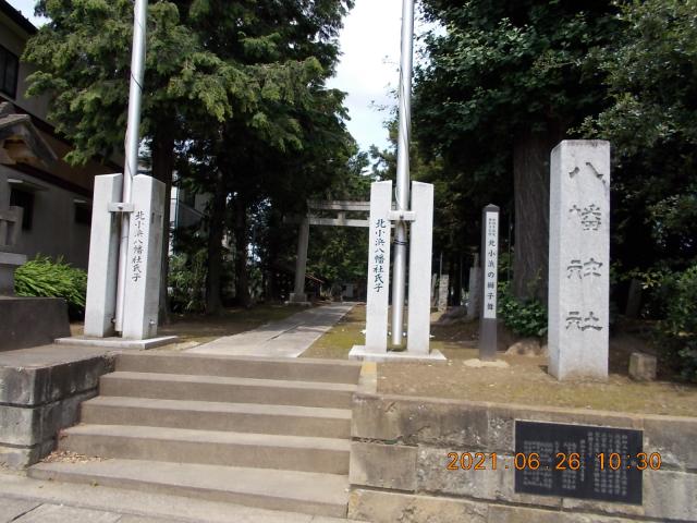 埼玉県加須市睦町2-7-49 八幡社（北小浜八幡神社）の写真2