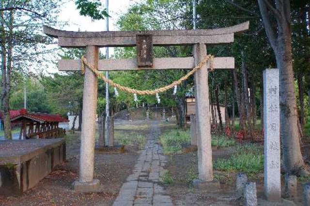 埼玉県加須市志多見１３７４ 日枝神社の写真2