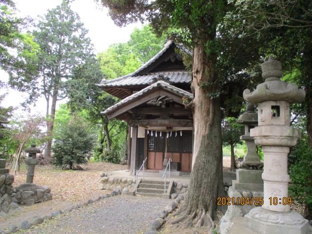 埼玉県熊谷市小島142 春日神社の写真3