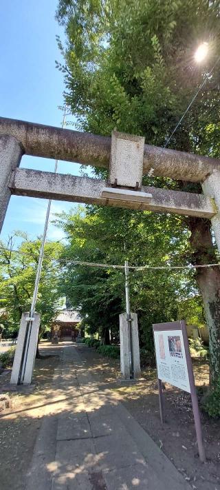 中福稲荷神社の参拝記録(まーぼーさん)