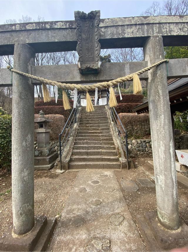 埼玉県所沢市本郷676 氷川神社の写真2