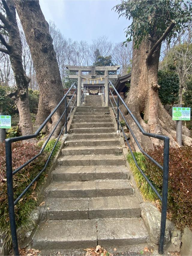 埼玉県所沢市本郷676 氷川神社の写真3