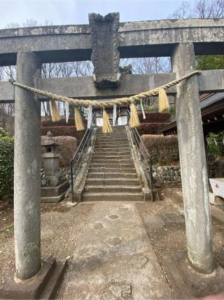 氷川神社の参拝記録(たくちゃんさん)