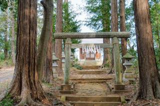 桜木神社の参拝記録(thonglor17さん)
