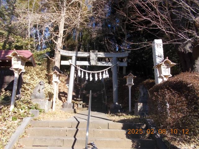 埼玉県所沢市下安松486-1 安松神社の写真2