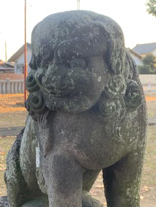 東大久保阿蘇神社の参拝記録(shikigami_hさん)