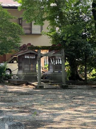 諏訪神社の参拝記録(こーちんさん)