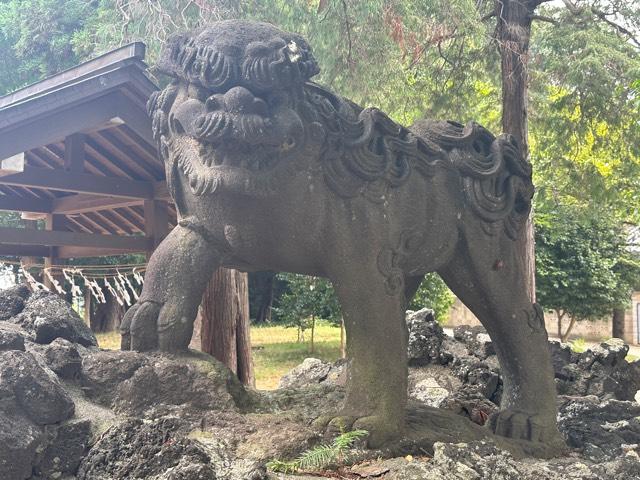下鶴馬氷川神社の参拝記録2