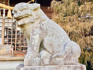春日神社の参拝記録(shikigami_hさん)