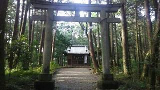 金子神社の参拝記録(miyumikoさん)