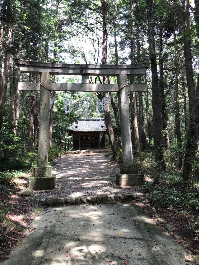金子神社の参拝記録5
