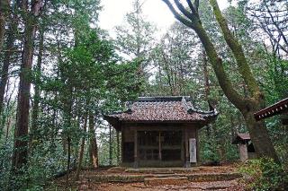 金子神社の参拝記録(thonglor17さん)