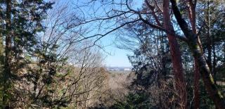 金子神社の参拝記録(®️さん)