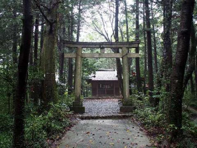 埼玉県入間市三ツ木 金子神社の写真1
