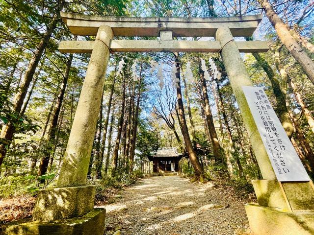 金子神社の参拝記録1