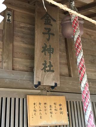 金子神社の参拝記録(虎藤次さん)