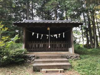 金子神社の参拝記録(虎藤次さん)