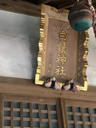 白髭神社の参拝記録(虎藤次さん)