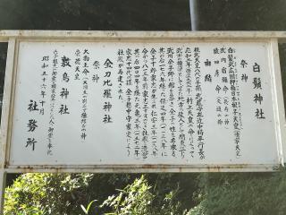 白髭神社の参拝記録(虎藤次さん)