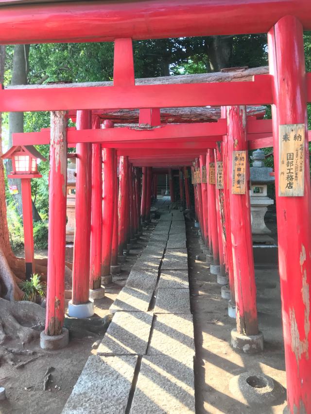 中野原稲荷神社の参拝記録(虎藤次さん)