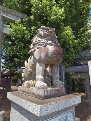 入間野神社の参拝記録(はじめさん)