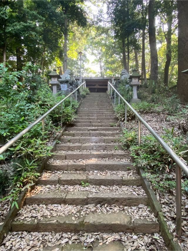 埼玉県狭山市堀兼2221 堀兼神社の写真4