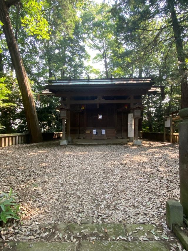 埼玉県狭山市堀兼2221 堀兼神社の写真5