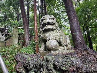 堀兼神社の参拝記録(飛成さん)