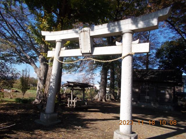 埼玉県狭山市下奥富1465 亀井神社の写真3