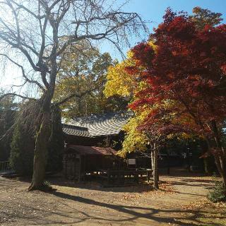 廣瀬神社の参拝記録(しろぎすさん)