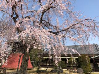 廣瀬神社の参拝記録(拓さん)